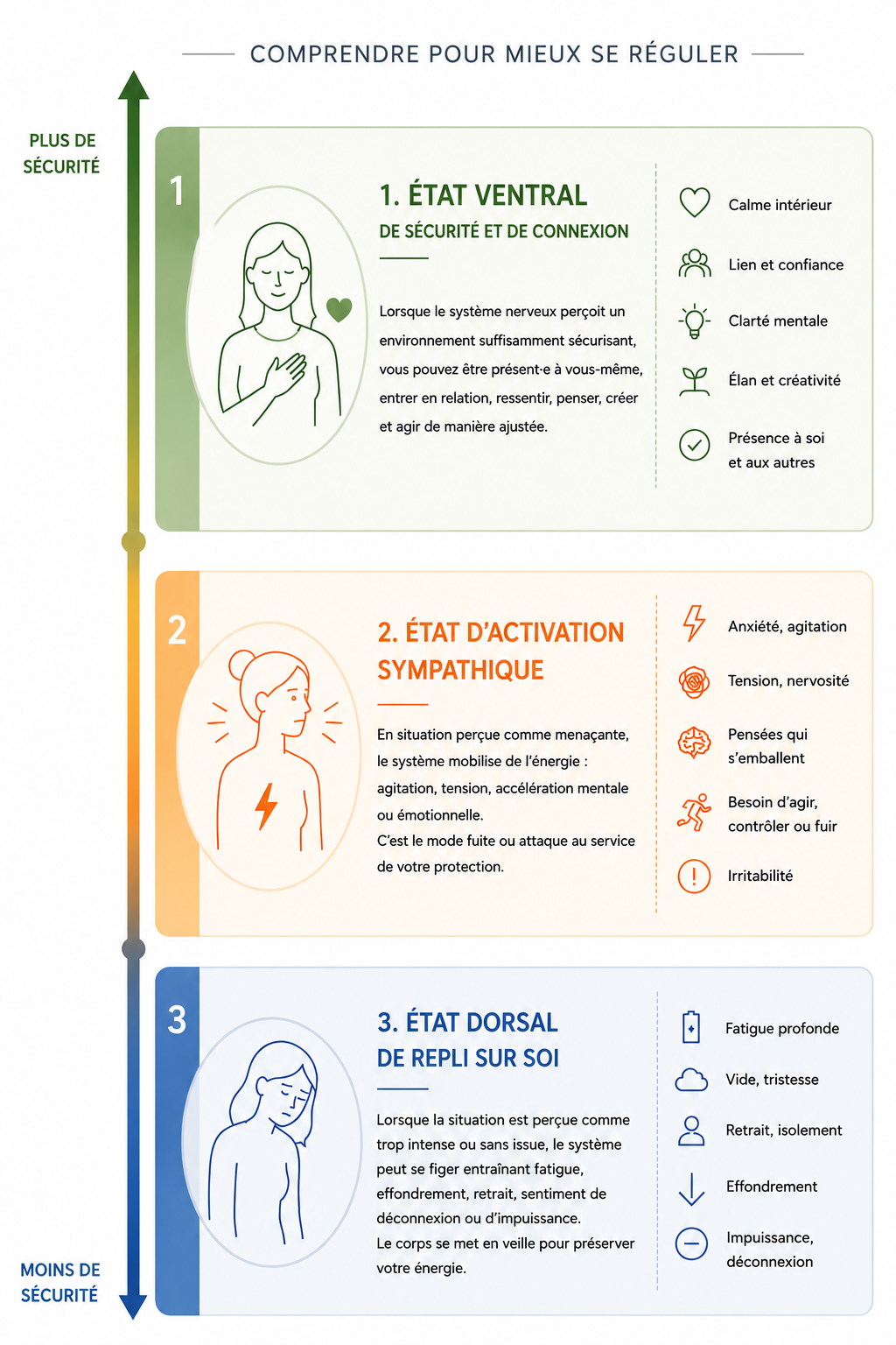 Schéma des trois états du système nerveux selon la théorie polyvagale : état ventral, activation sympathique et état dorsal.